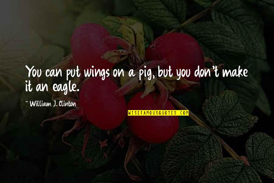 Bruce Anstey Quotes By William J. Clinton: You can put wings on a pig, but