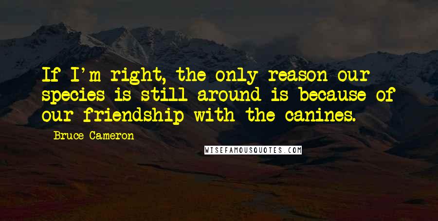 Bruce Cameron quotes: If I'm right, the only reason our species is still around is because of our friendship with the canines.