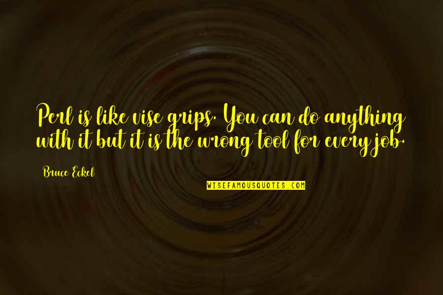 Bruce Eckel Quotes By Bruce Eckel: Perl is like vise grips. You can do Bruce Eckel Quotes By Bruce Eckel: Perl is like vise grips. You can do