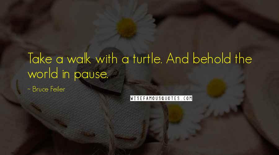 Bruce Feiler quotes: Take a walk with a turtle. And behold the world in pause.