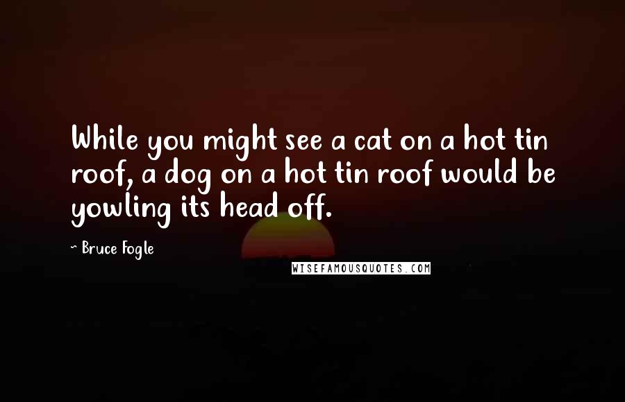 Bruce Fogle quotes: While you might see a cat on a hot tin roof, a dog on a hot tin roof would be yowling its head off.