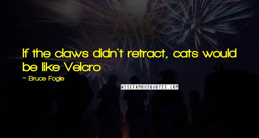 Bruce Fogle quotes: If the claws didn't retract, cats would be like Velcro