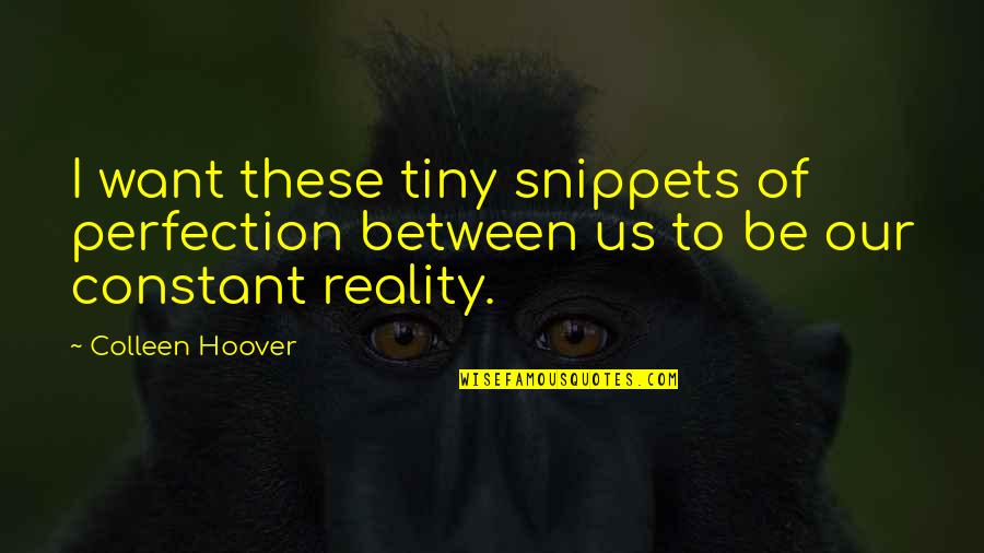 Bruce Lee 10000 Kick Quotes By Colleen Hoover: I want these tiny snippets of perfection between