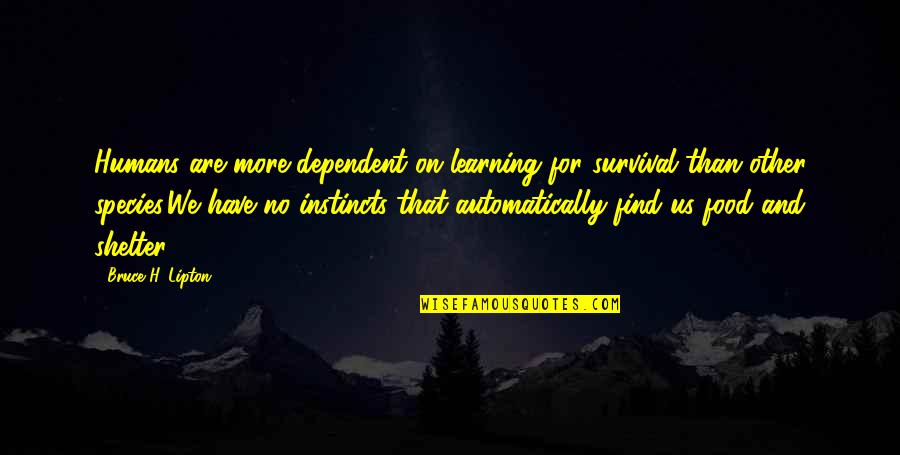 Bruce Lipton Quotes By Bruce H. Lipton: Humans are more dependent on learning for survival