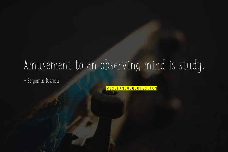 Brueggemann Fencing Quotes By Benjamin Disraeli: Amusement to an observing mind is study.