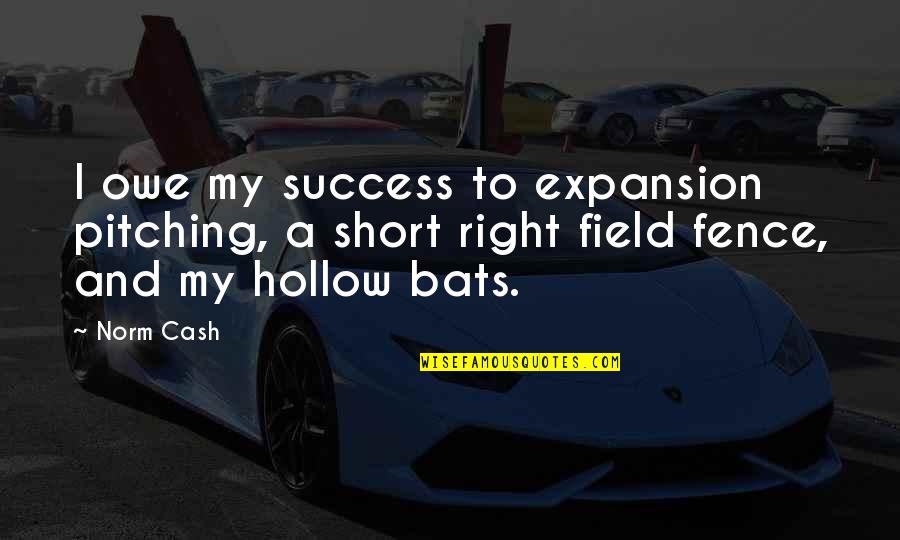 Bruininks Motor Quotes By Norm Cash: I owe my success to expansion pitching, a