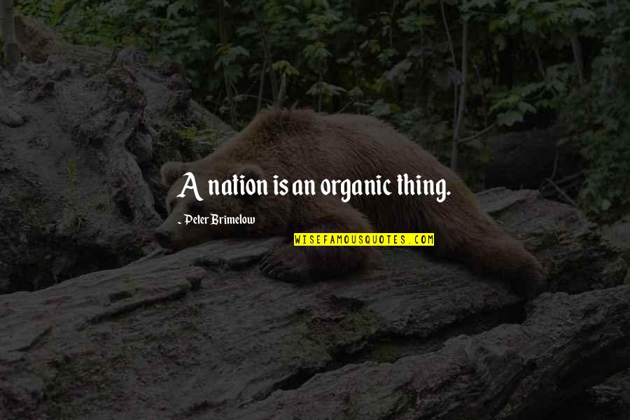 Bruins Quotes By Peter Brimelow: A nation is an organic thing. Bruins Quotes By Peter Brimelow: A nation is an organic thing.