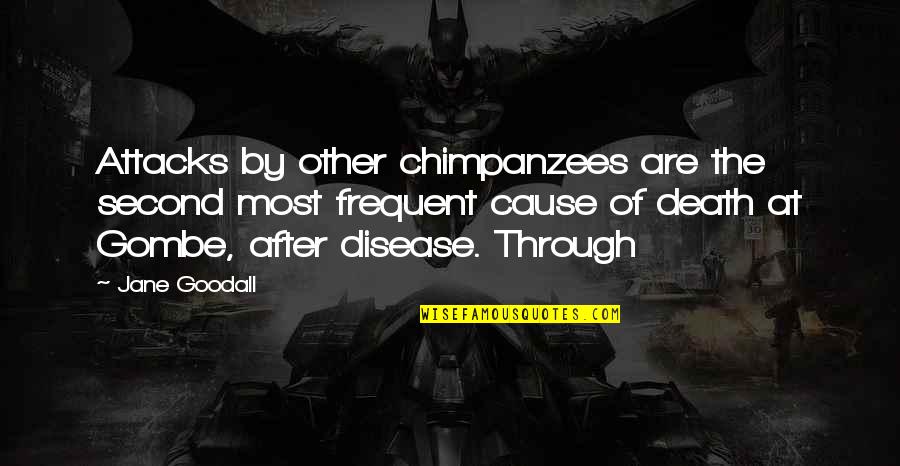 Bruis'd Quotes By Jane Goodall: Attacks by other chimpanzees are the second most