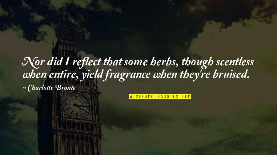 Bruised But Quotes By Charlotte Bronte: Nor did I reflect that some herbs, though