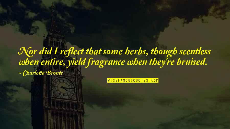 Bruised Quotes By Charlotte Bronte: Nor did I reflect that some herbs, though