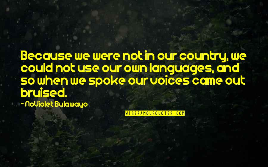 Bruised Quotes By NoViolet Bulawayo: Because we were not in our country, we