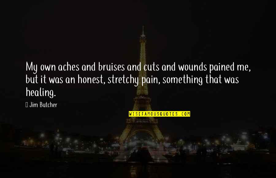 Bruises Healing Quotes By Jim Butcher: My own aches and bruises and cuts and