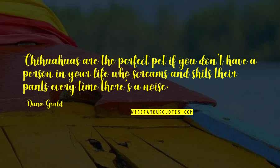 Brujulas Imagenes Quotes By Dana Gould: Chihuahuas are the perfect pet if you don't Brujulas Imagenes Quotes By Dana Gould: Chihuahuas are the perfect pet if you don't