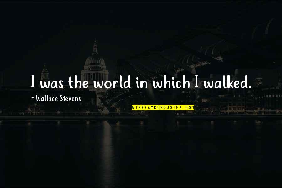 Brumberger Coin Quotes By Wallace Stevens: I was the world in which I walked.