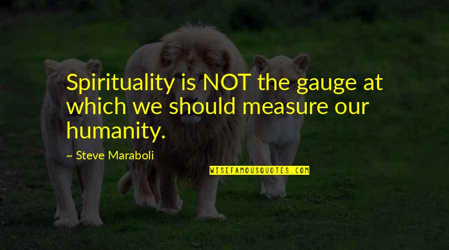 Brumby Rocking Quotes By Steve Maraboli: Spirituality is NOT the gauge at which we