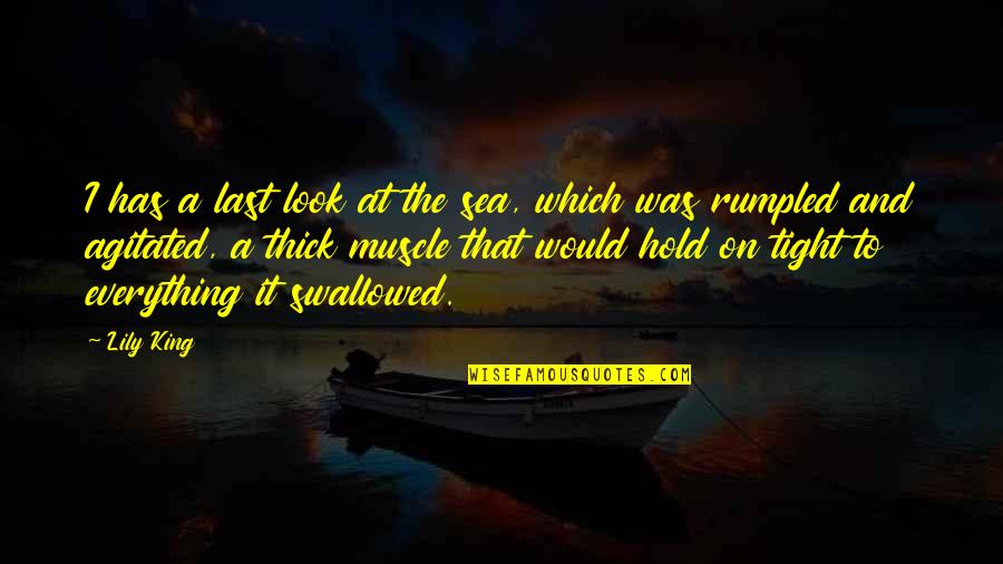 Brunch And Coffee Quotes By Lily King: I has a last look at the sea, Brunch And Coffee Quotes By Lily King: I has a last look at the sea,