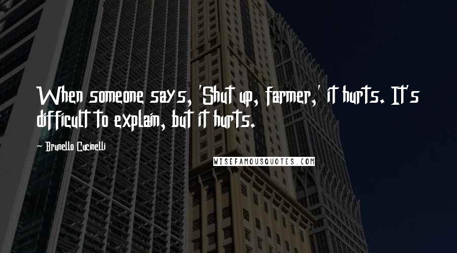 Brunello Cucinelli quotes: When someone says, 'Shut up, farmer,' it hurts. It's difficult to explain, but it hurts.