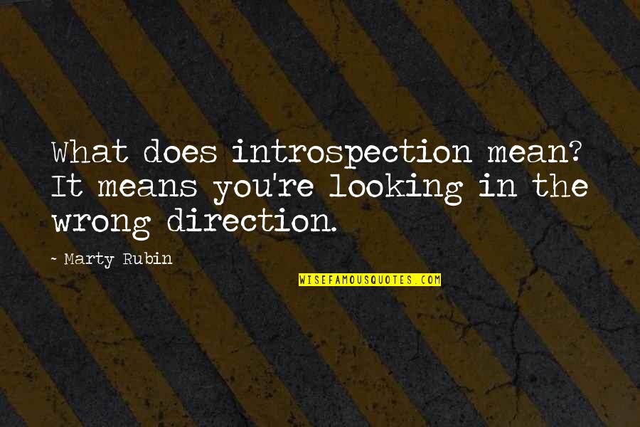 Brunier And Associates Quotes By Marty Rubin: What does introspection mean? It means you're looking