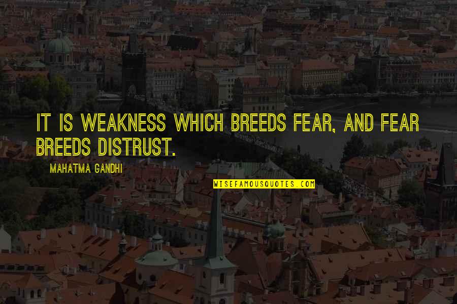 Brunilda Zllami Quotes By Mahatma Gandhi: It is weakness which breeds fear, and fear