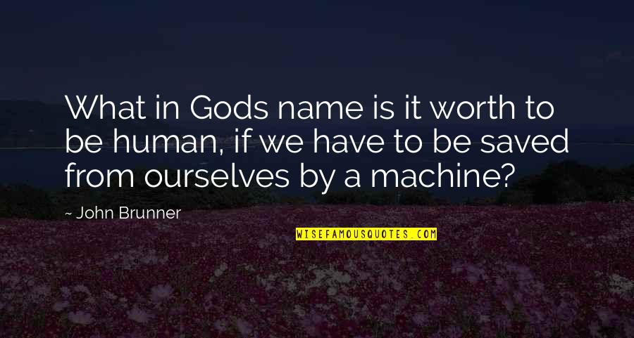 Brunner's Quotes By John Brunner: What in Gods name is it worth to