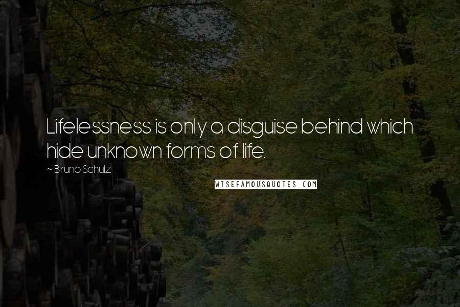 Bruno Schulz quotes: Lifelessness is only a disguise behind which hide unknown forms of life.