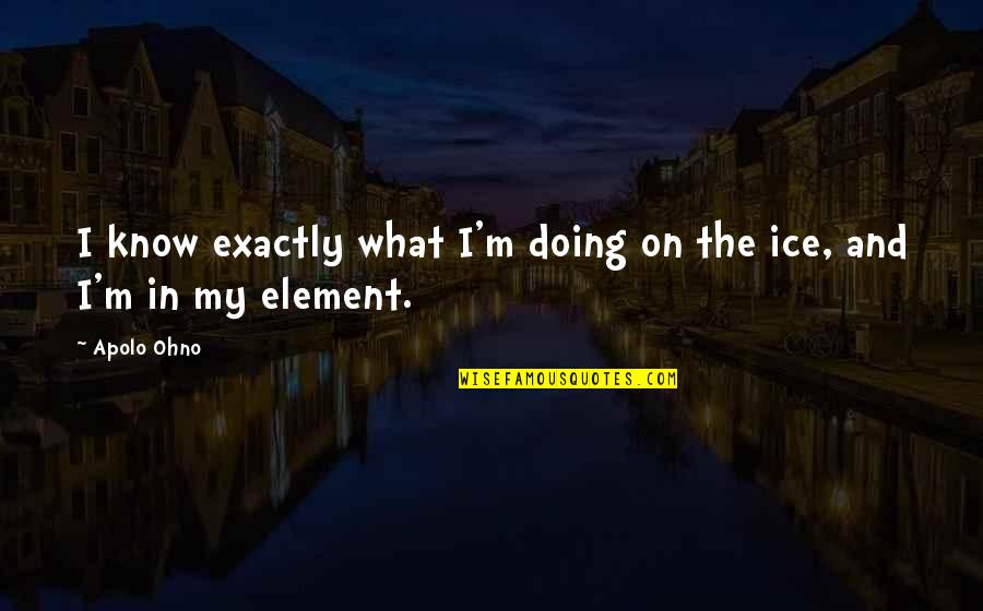 Bruntons Barracks Quotes By Apolo Ohno: I know exactly what I'm doing on the