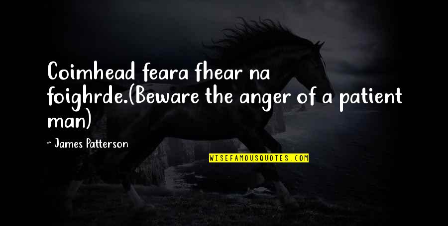 Brush Off The Haters Quotes By James Patterson: Coimhead feara fhear na foighrde.(Beware the anger of