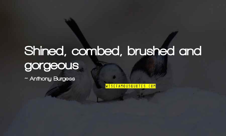 Brushed Quotes By Anthony Burgess: Shined, combed, brushed and gorgeous