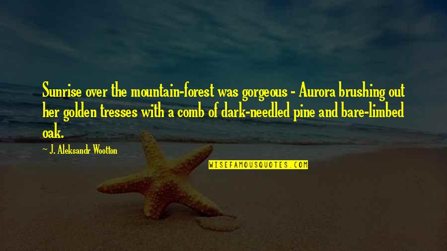 Brushing Quotes By J. Aleksandr Wootton: Sunrise over the mountain-forest was gorgeous - Aurora