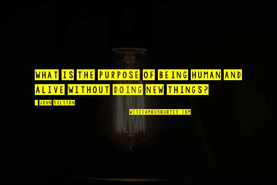 Brushy One String Quotes By John Sulston: What is the purpose of being human and