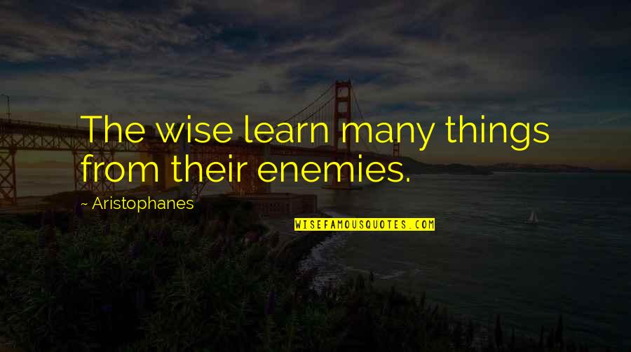 Brusky Na Quotes By Aristophanes: The wise learn many things from their enemies.