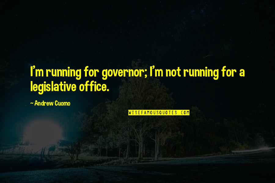 Brust Lung Quotes By Andrew Cuomo: I'm running for governor; I'm not running for
