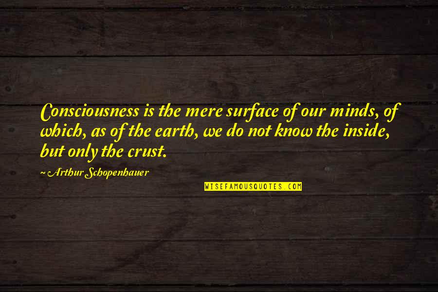 Brutally Intelligent Revenge Quotes By Arthur Schopenhauer: Consciousness is the mere surface of our minds,