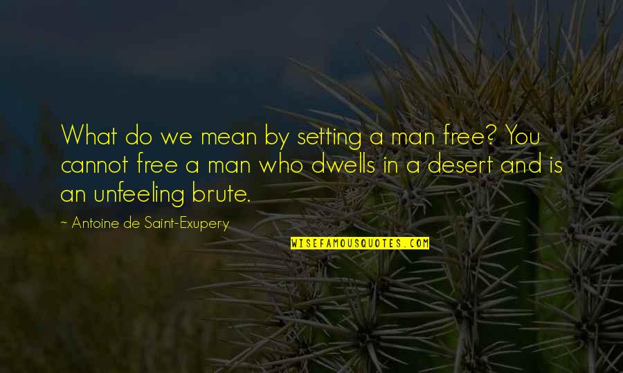 Brute Quotes By Antoine De Saint-Exupery: What do we mean by setting a man