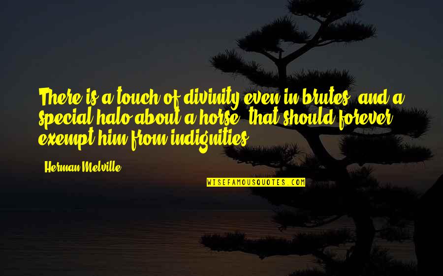 Brutes Quotes By Herman Melville: There is a touch of divinity even in