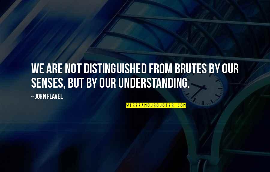 Brutes Quotes By John Flavel: We are not distinguished from brutes by our