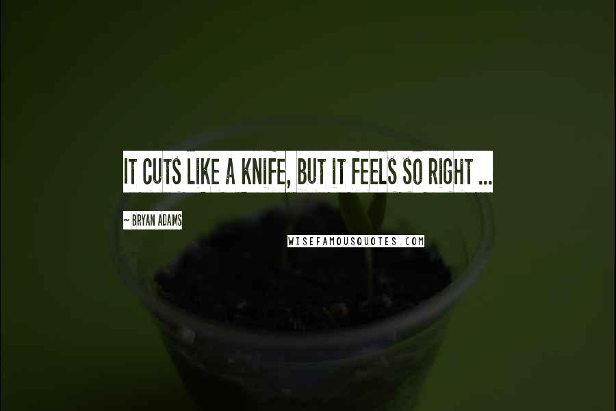 Bryan Adams quotes: It cuts like a knife, but it feels so right ...