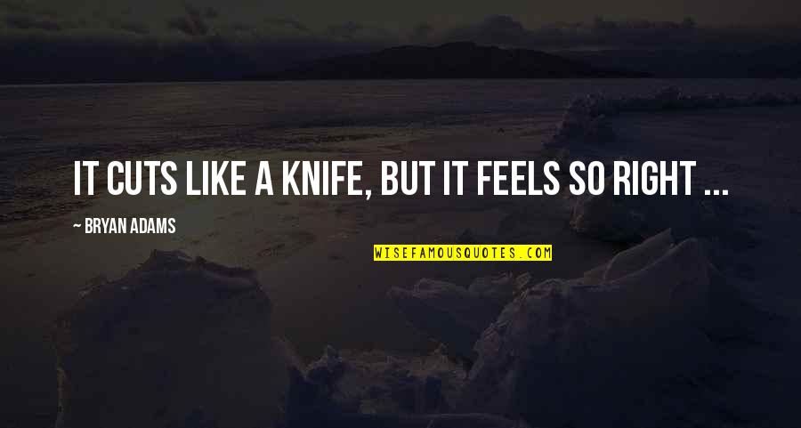 Bryan Adams Quotes By Bryan Adams: It cuts like a knife, but it feels