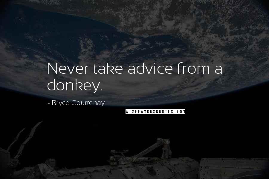 Bryce Courtenay quotes: Never take advice from a donkey.