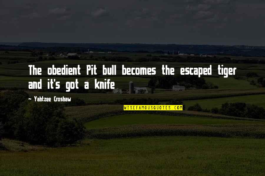 Brylane Credit Quotes By Yahtzee Croshaw: The obedient Pit bull becomes the escaped tiger