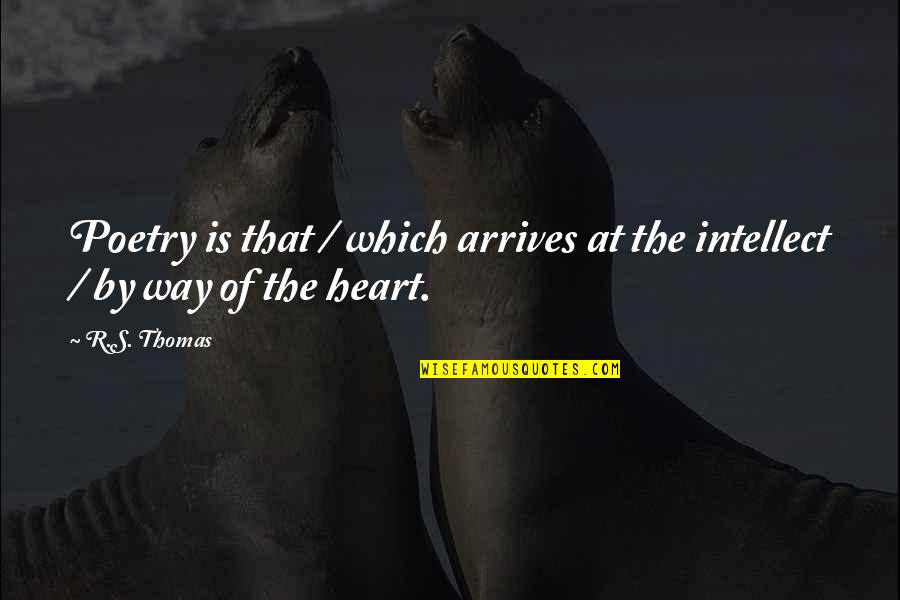 Bryndal Rafal Quotes By R.S. Thomas: Poetry is that / which arrives at the