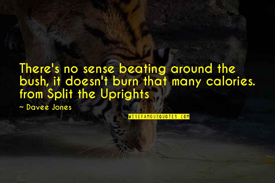 Brynjolf Quotes By Davee Jones: There's no sense beating around the bush, it Brynjolf Quotes By Davee Jones: There's no sense beating around the bush, it