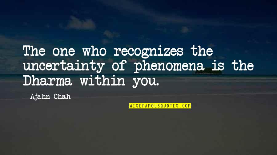 Bse Stock Exchange Quotes By Ajahn Chah: The one who recognizes the uncertainty of phenomena