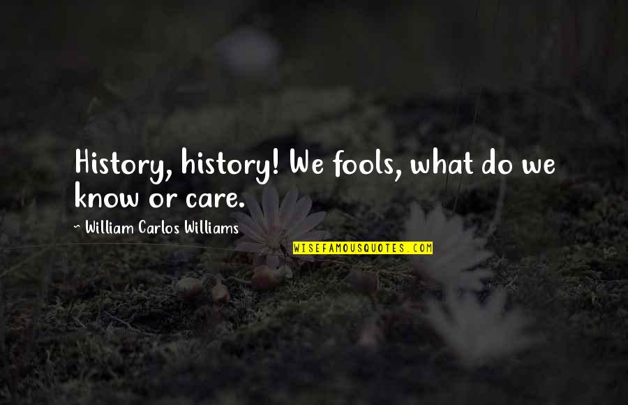 Bse Top Gainer Quotes By William Carlos Williams: History, history! We fools, what do we know