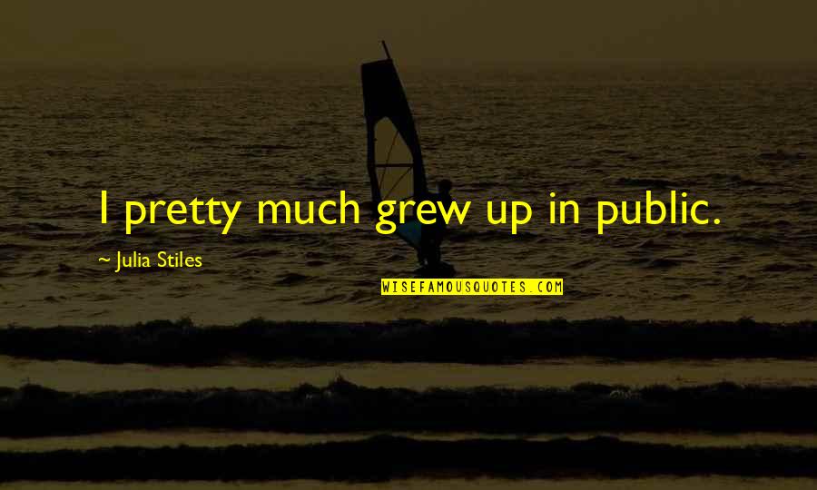 Bsicas Quotes By Julia Stiles: I pretty much grew up in public.
