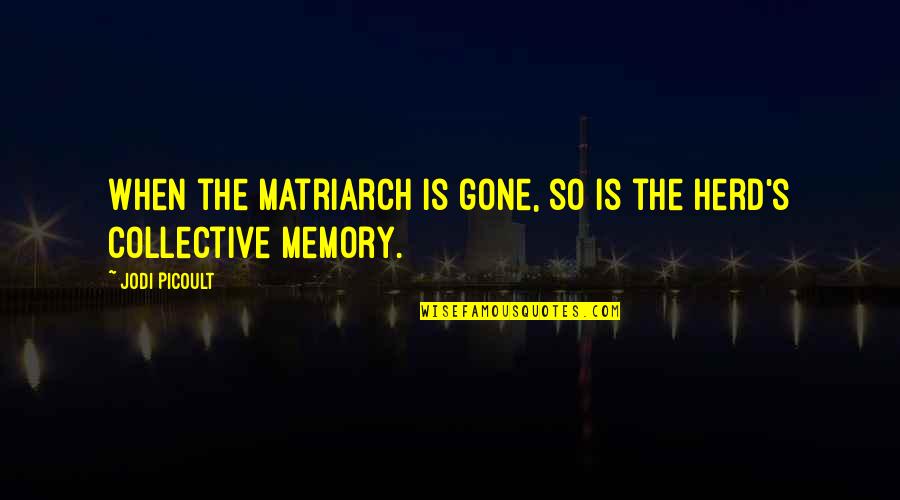 Bteministries Quotes By Jodi Picoult: When the matriarch is gone, so is the