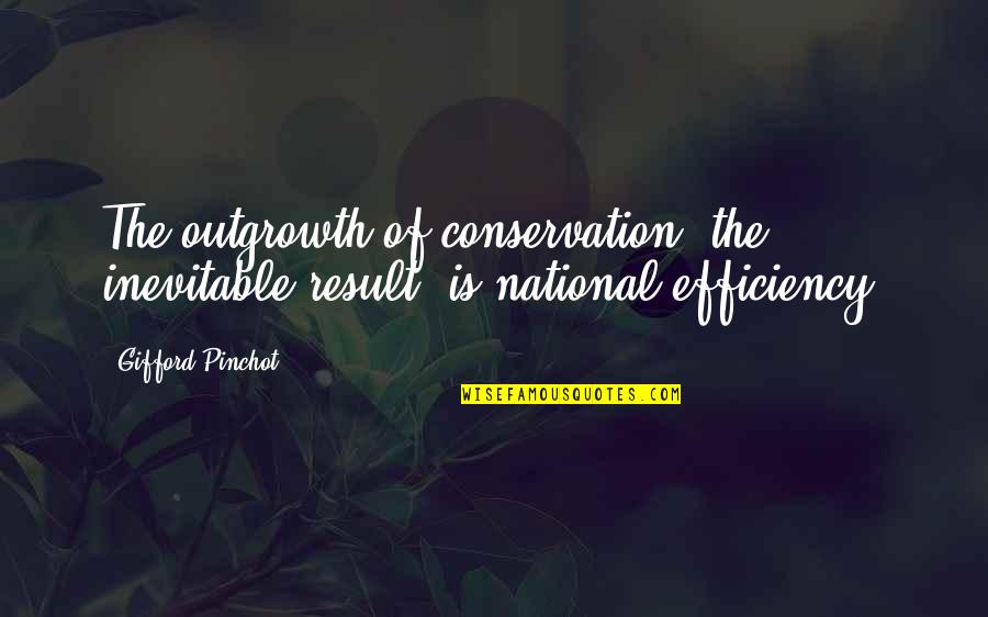 Bts Dream Quotes By Gifford Pinchot: The outgrowth of conservation, the inevitable result, is