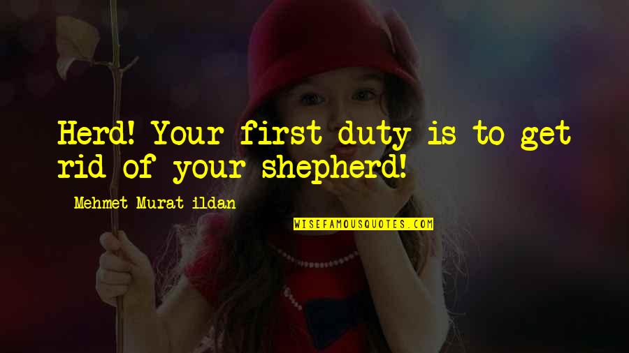 Bts Funny Quotes By Mehmet Murat Ildan: Herd! Your first duty is to get rid