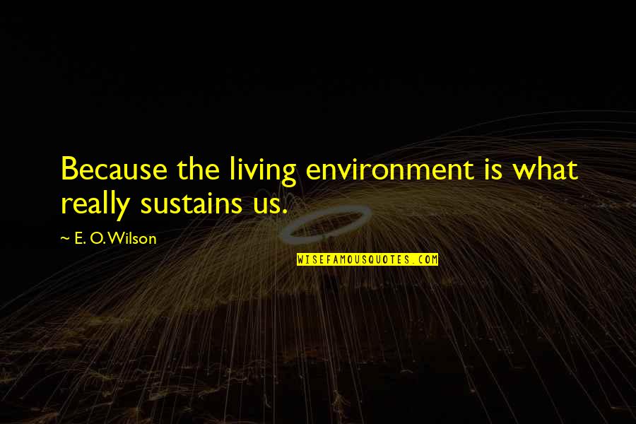 Bu Ali Sina Quotes By E. O. Wilson: Because the living environment is what really sustains