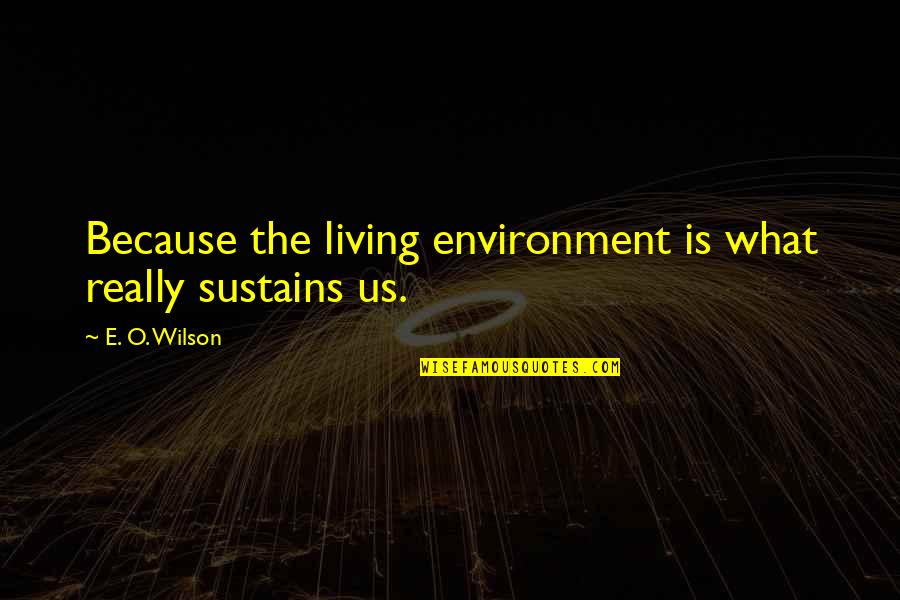 Bu Ali Sina Quotes By E. O. Wilson: Because the living environment is what really sustains Bu Ali Sina Quotes By E. O. Wilson: Because the living environment is what really sustains